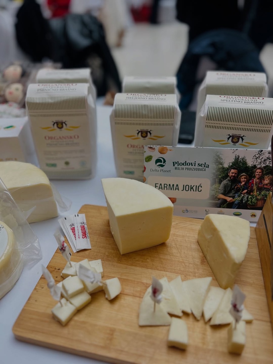 Organski sirevi farme Jokić narezani za probu